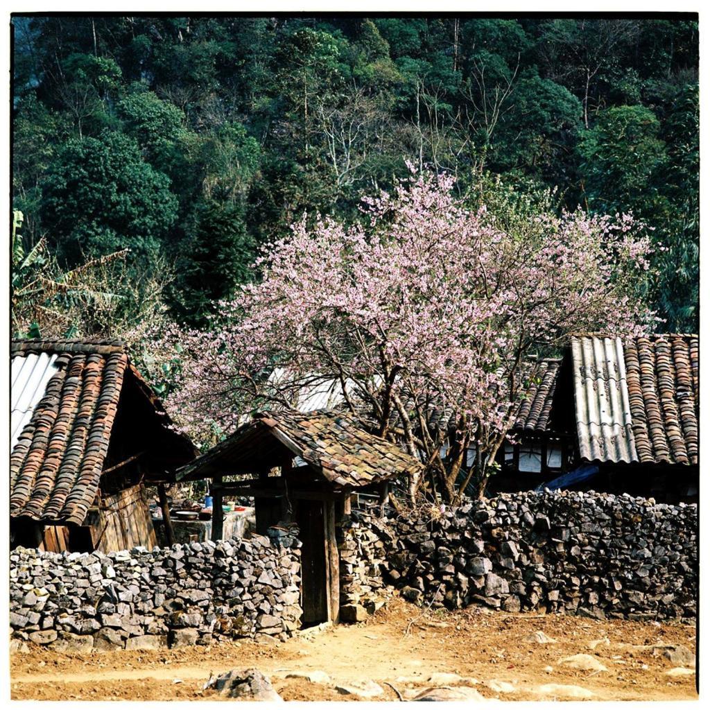 Huyen Tram Guesthouse Dong Van  Exteriér fotografie